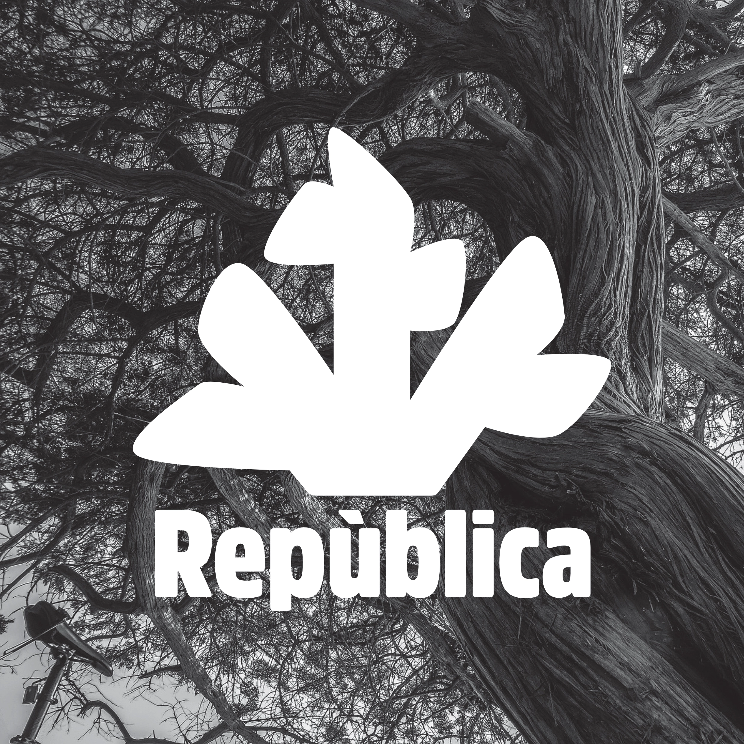 Indipendentismo Repùblica